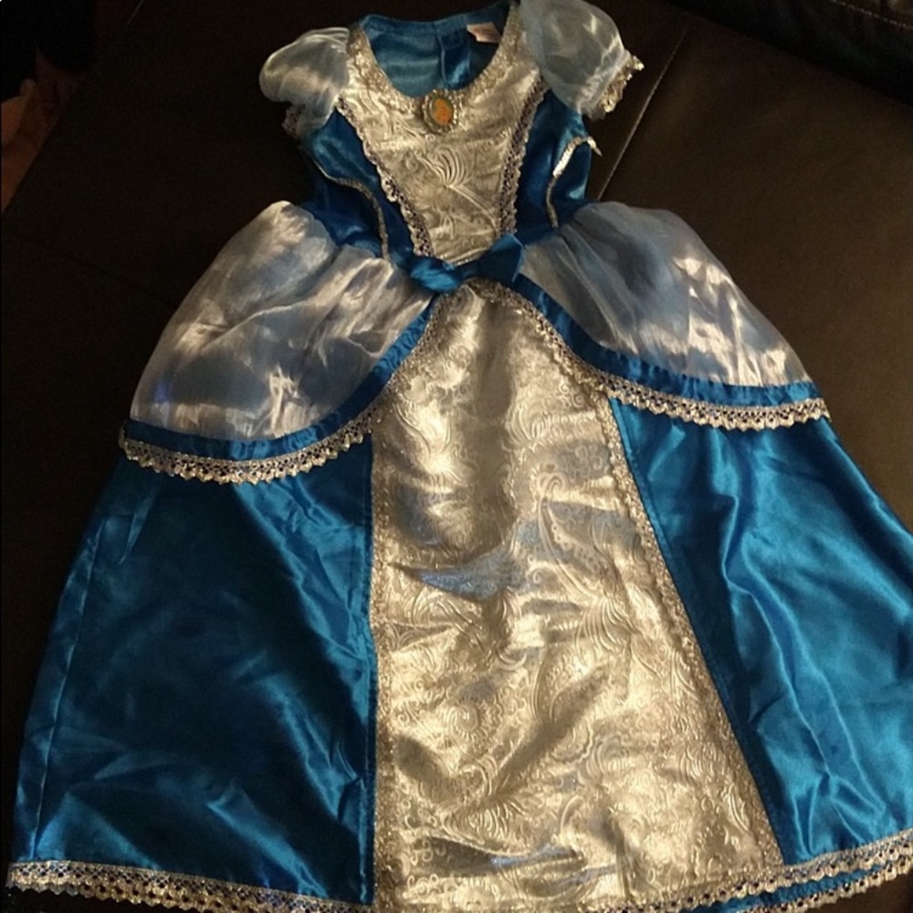 Disney Deluxe Parks Cinderella costume- Toddler size small